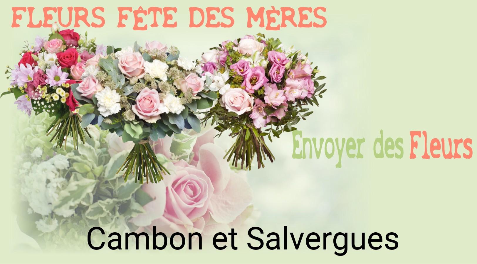 Bouquet de Fête des Mères livré à Cambon-et-Salvergues